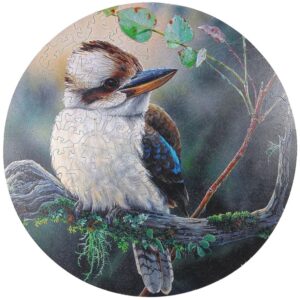 Kookaburra